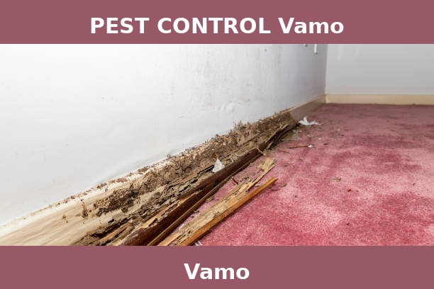 PEST CONTROL Vamo